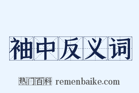 袖中反义词是什么意思的图片